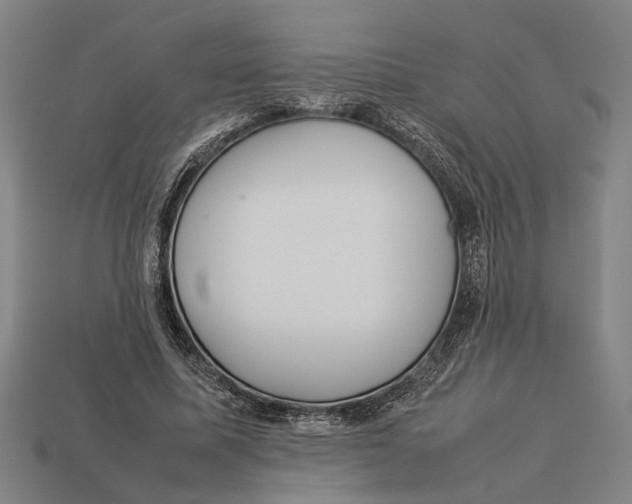 X0000113070587200909250930