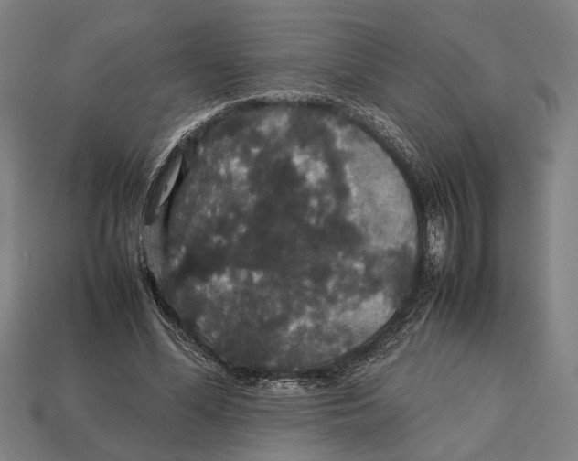 X0000113070588200909250930
