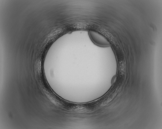 X0000113070589200909250930