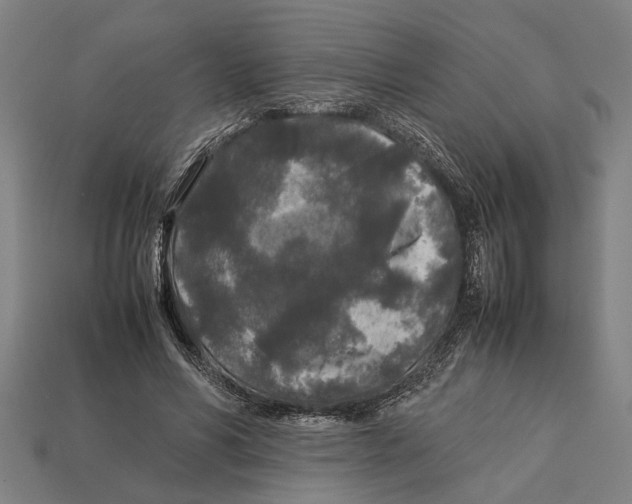 X0000113070590200909250930