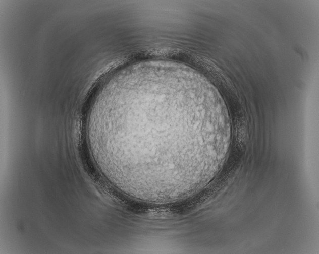 X0000113070591200909250930