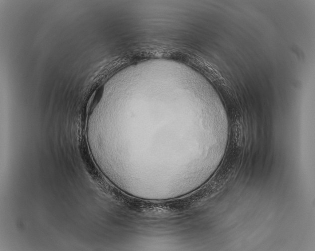 X0000113070594200909250930