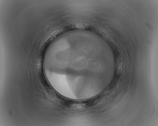 X0000113070595200909250930