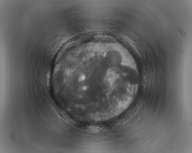 X0000113070596200909250930