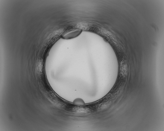 X0000113070597200909250930