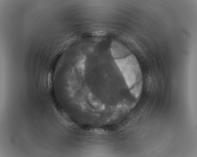 X0000113070598200909250930