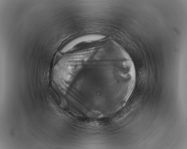 X0000113070600200909250930