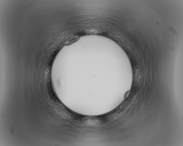 X0000113070601200909250930