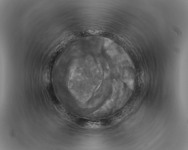 X0000113070606200909250930