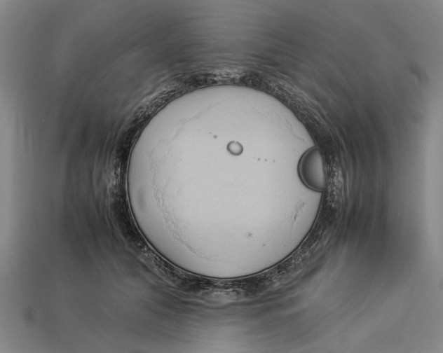 X0000113070608200909250930