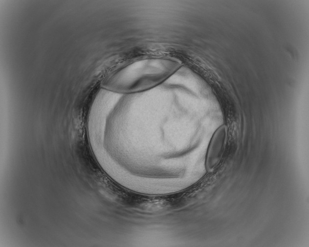 X0000113070609200909250930