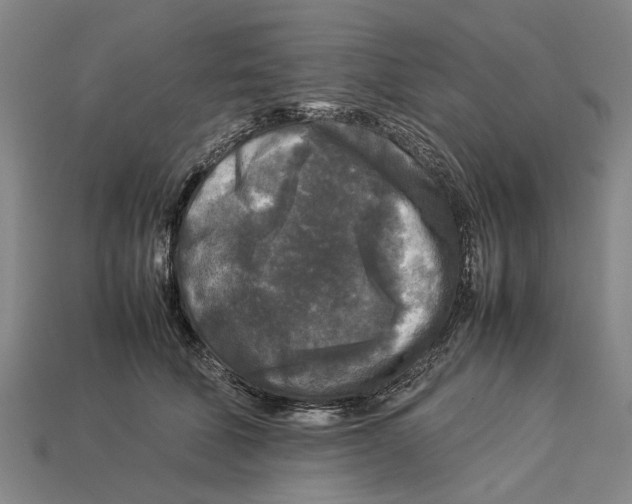 X0000113070610200909250930