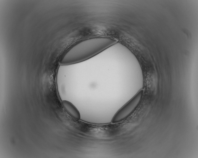 X0000113070611200909250930