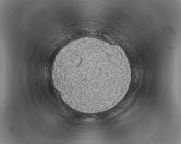 X0000113070612200909250930
