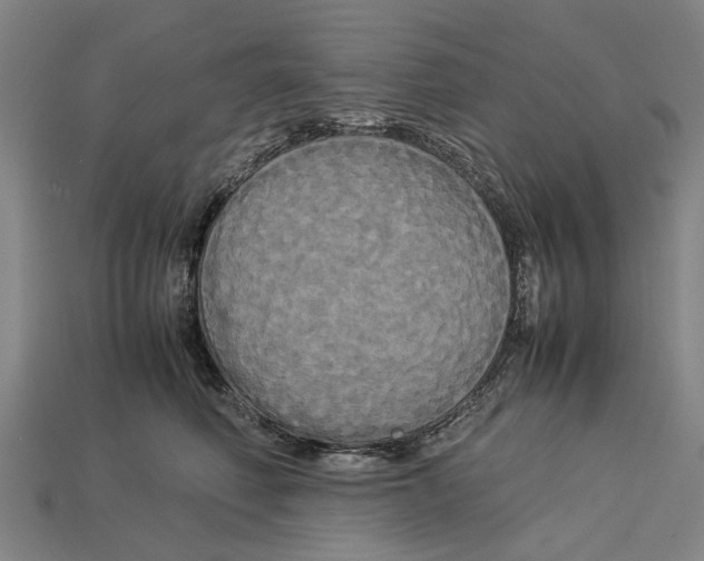X0000113070614200909250930