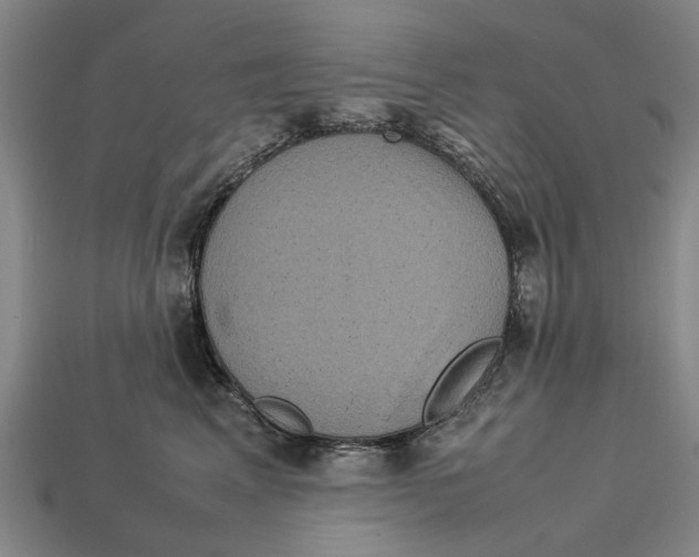 X0000113070617200909250930
