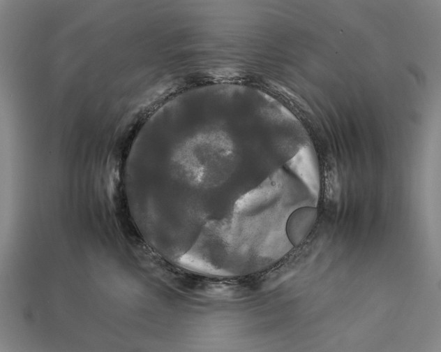 X0000113070618200909250930