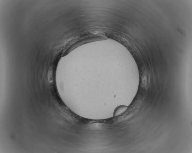 X0000113070620200909250930