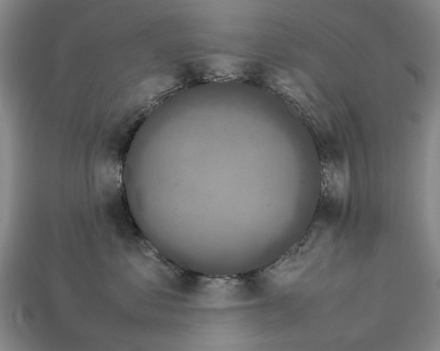 X0000113070621200909250930