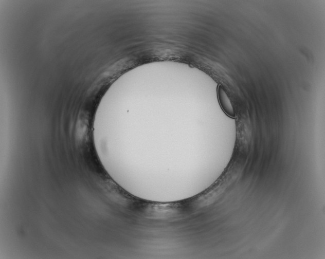X0000113070622200909250930