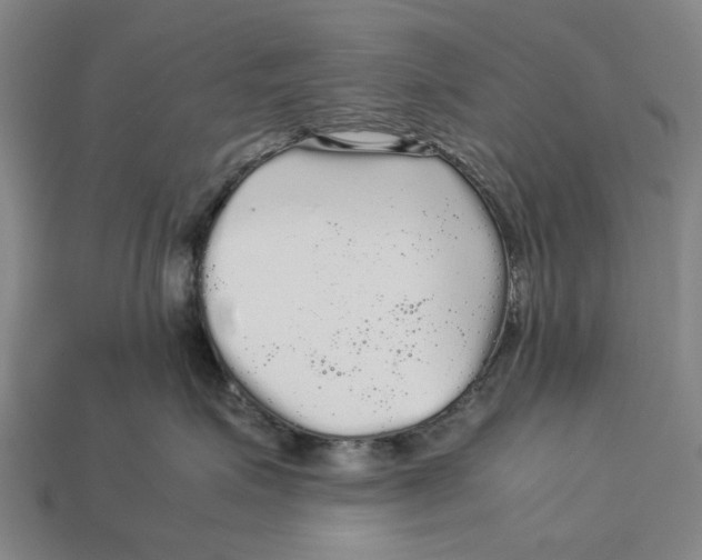 X0000113070623200909250930