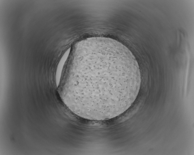 X0000113070624200909250930