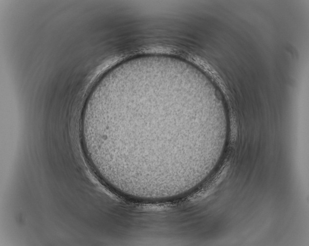 X0000113070625200909250929