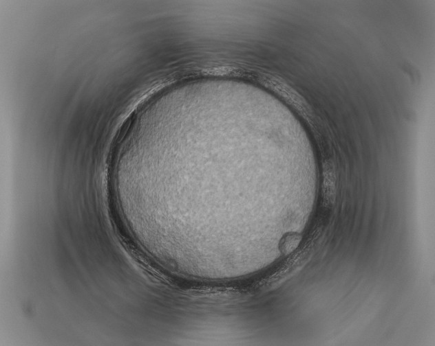 X0000113070626200909250929