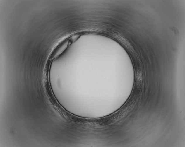X0000113070628200909250929