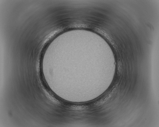 X0000113070629200909250929