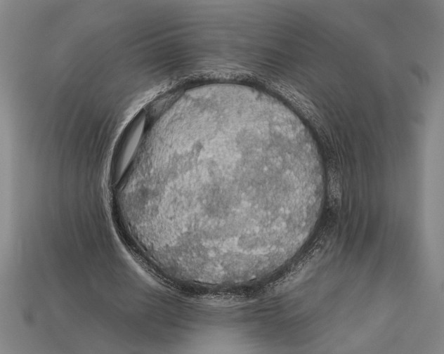 X0000113070630200909250929