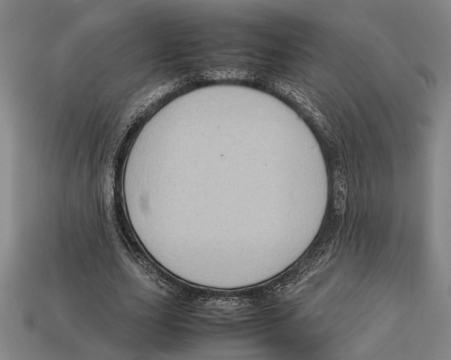 X0000113070631200909250929