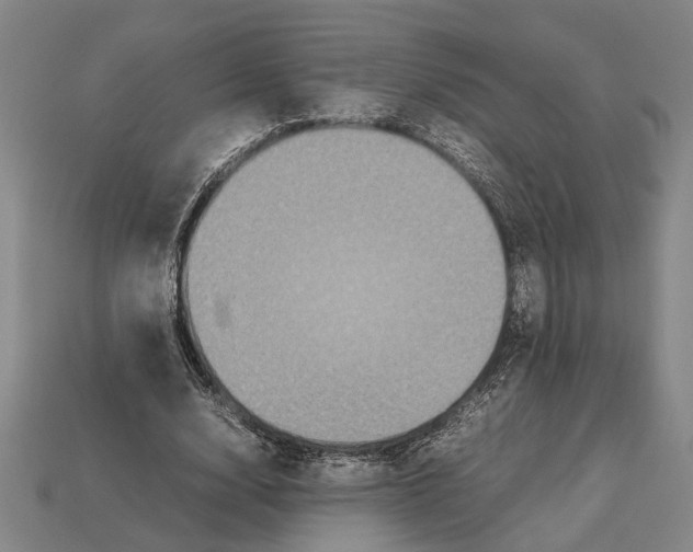 X0000113070632200909250929
