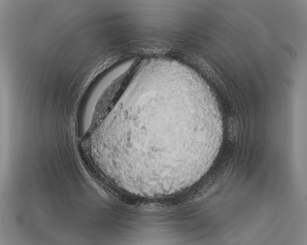 X0000113070634200909250930