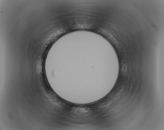 X0000113070635200909250930