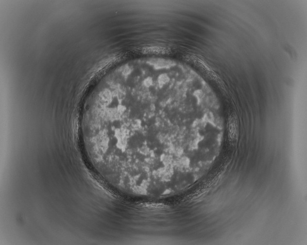 X0000113070637200909250930
