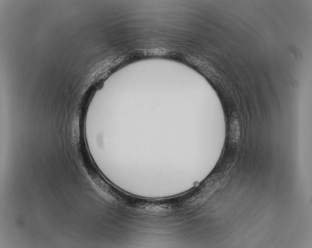 X0000113070638200909250930