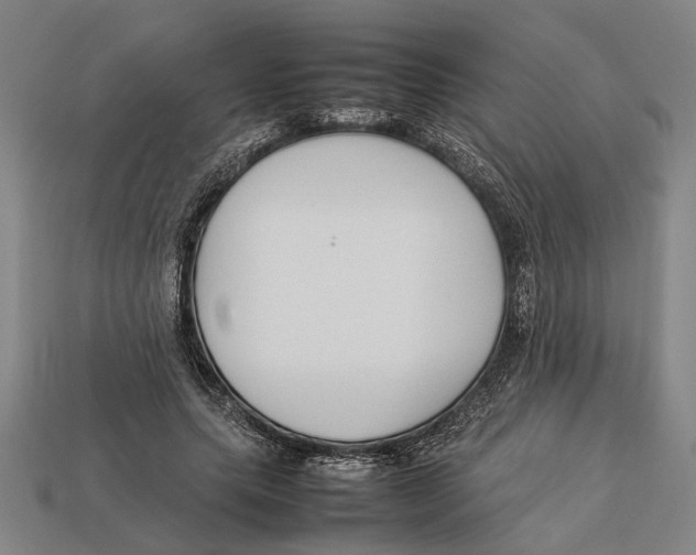 X0000113070639200909250930