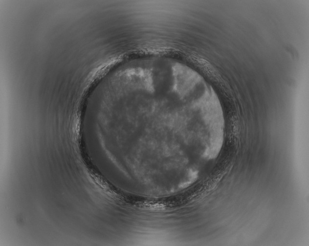 X0000113070640200909250930