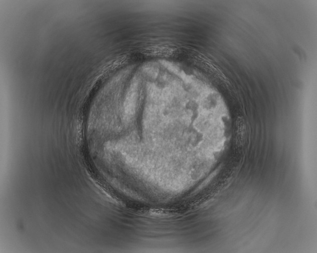 X0000113070641200909250930