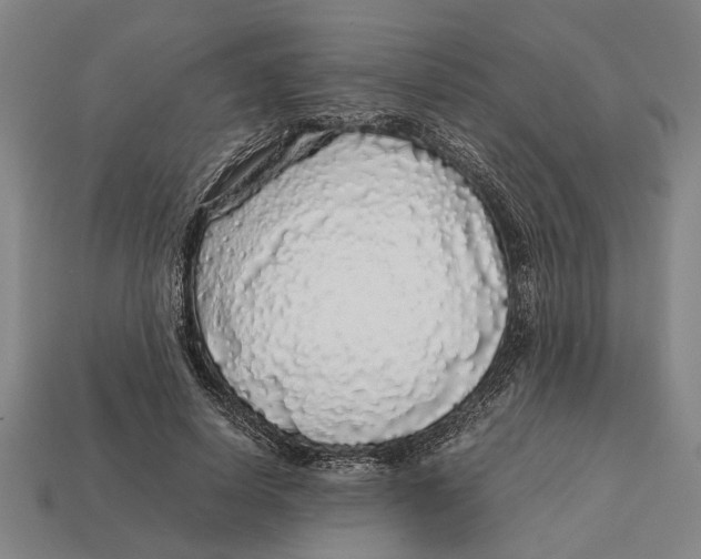 X0000113070642200909250930