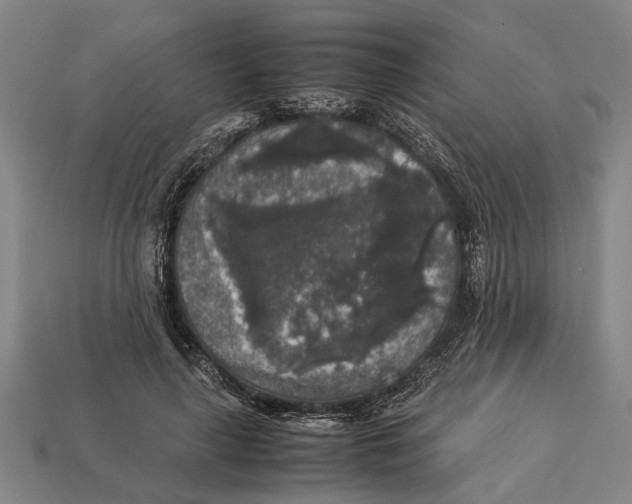 X0000113070643200909250930