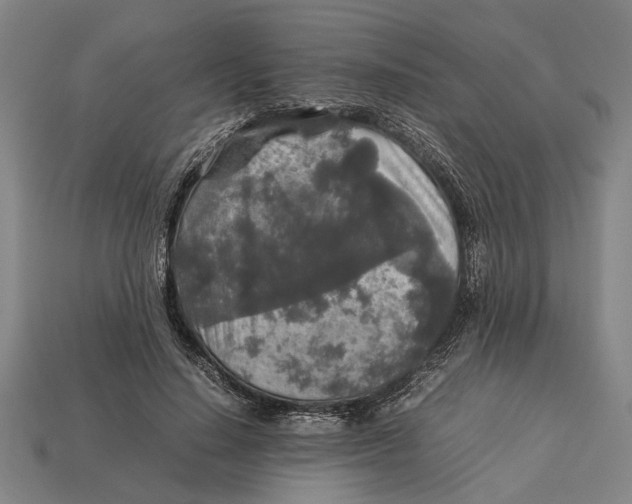 X0000113070644200909250930