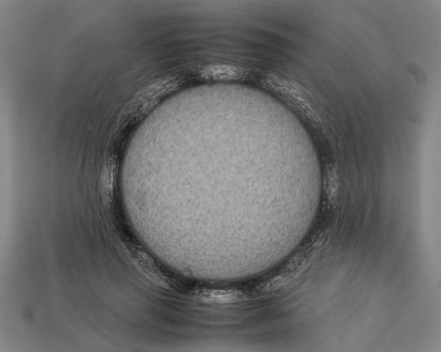 X0000113070645200909250930