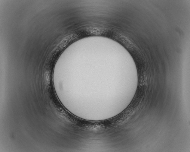 X0000113070646200909250930