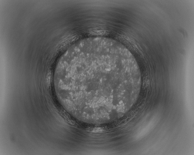 X0000113070647200909250930