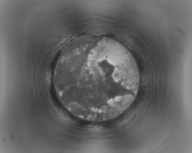 X0000113070648200909250930