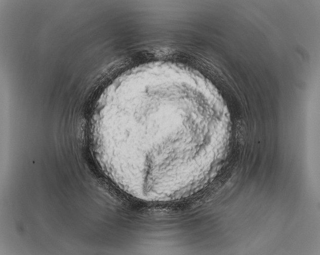 X0000113070650200909250930