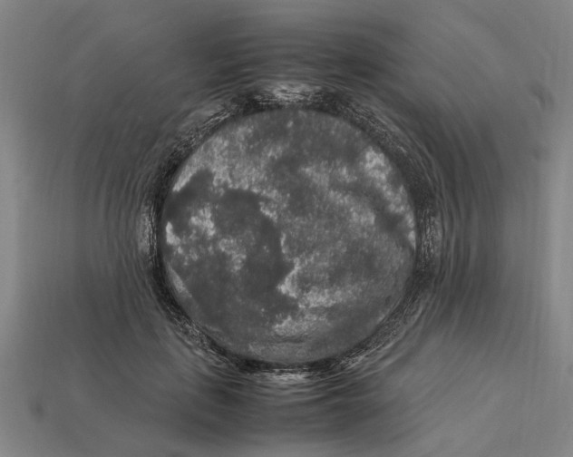 X0000113070651200909250930