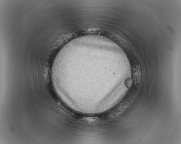 X0000113070654200909250930
